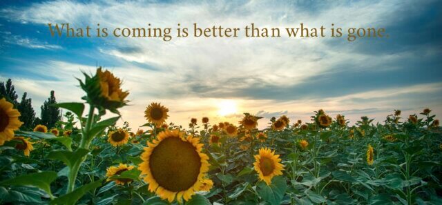 Field of sunflowers with the words 'What is coming is better than what is gone' written in the sky