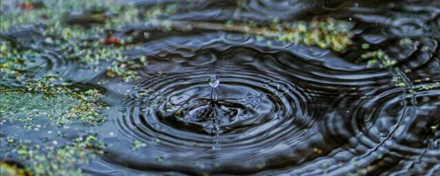 drop of water creating ripples