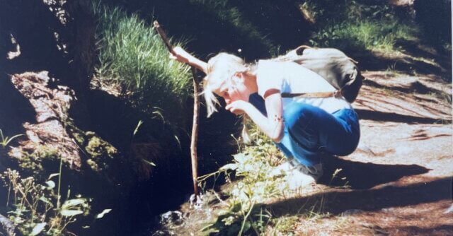 Iris drinking water from stream