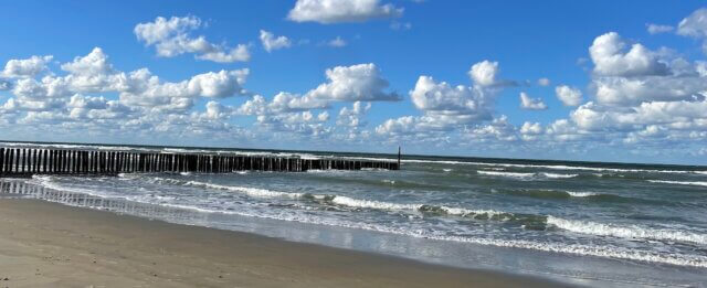 beliefs making us sick