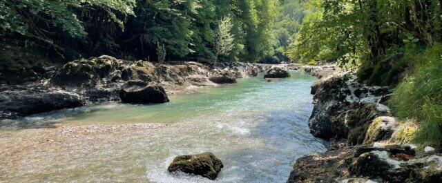 A turquoise river flowing gently over rocks through a green summer forest — a natural image of energy and flow