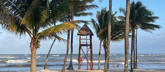 Tropical beach with palm trees and lifeguard tower — a reminder to slow down, rest, and find your way back to yourself