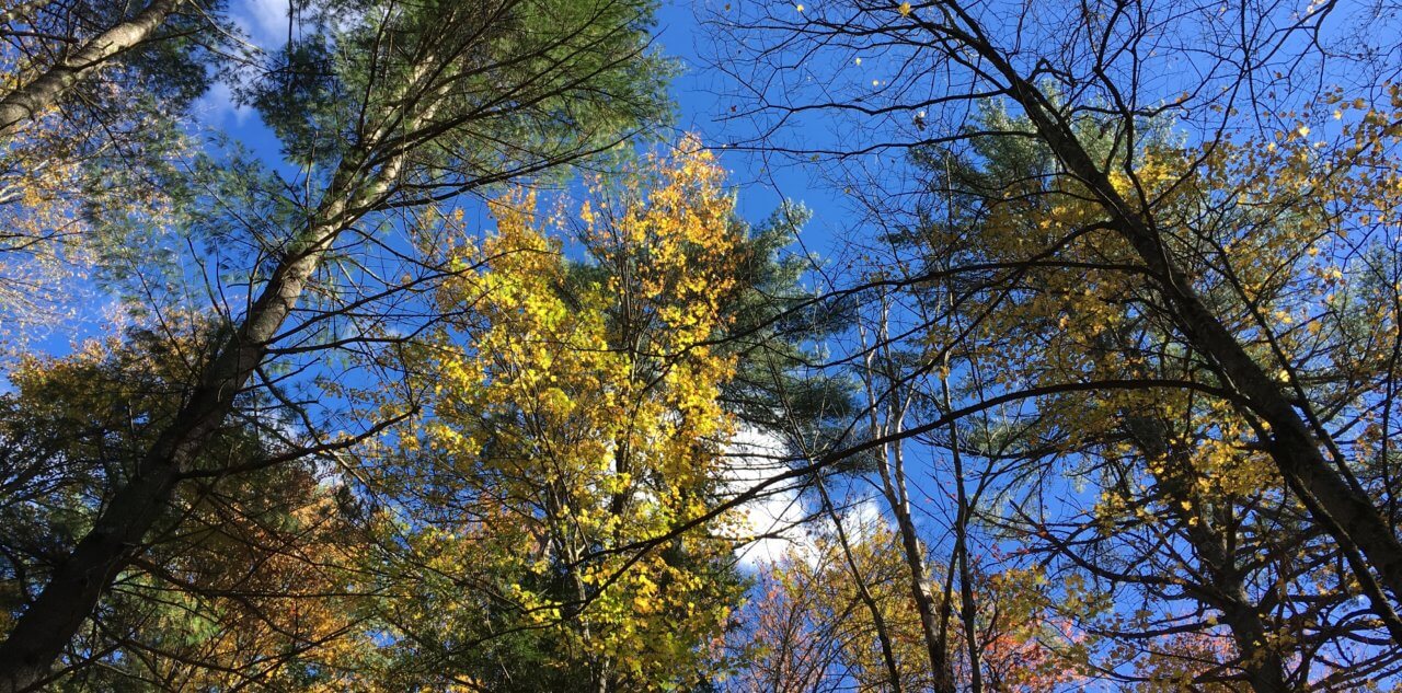 autumn vermont