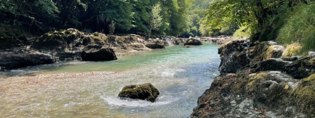 Clear turquoise river flowing around mossy boulders in a sunlit forest gorge — room for energy to flow freely